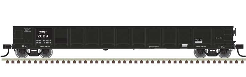 52' Evans Gondola Chicago, West Pullman & Southern CWP 2029 - 20006858 : HO