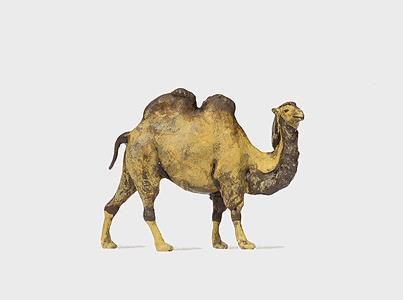 Animal-29506 : HO