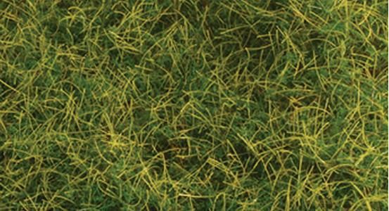 Ground Cover-1573
