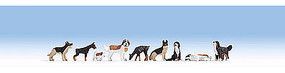 Animal-15717 : HO
