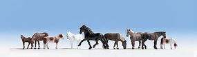 Animal-15761 : HO