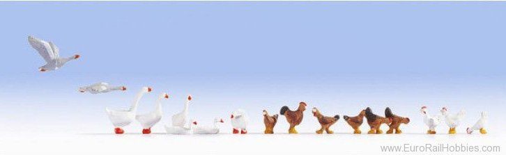 Animal-15772 : HO