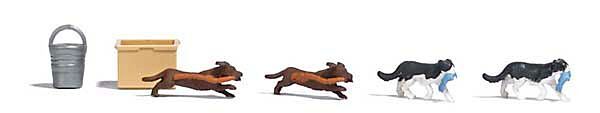 Animal-7993 : HO