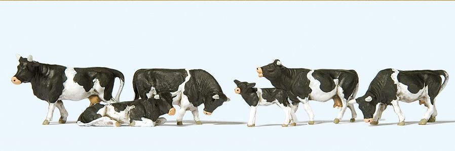 Animal-10145 : HO