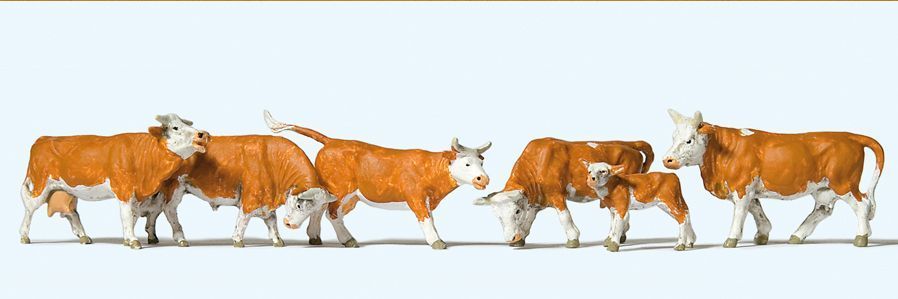 Animal-10146 : HO