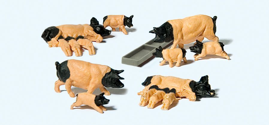 Animal-10149 : HO