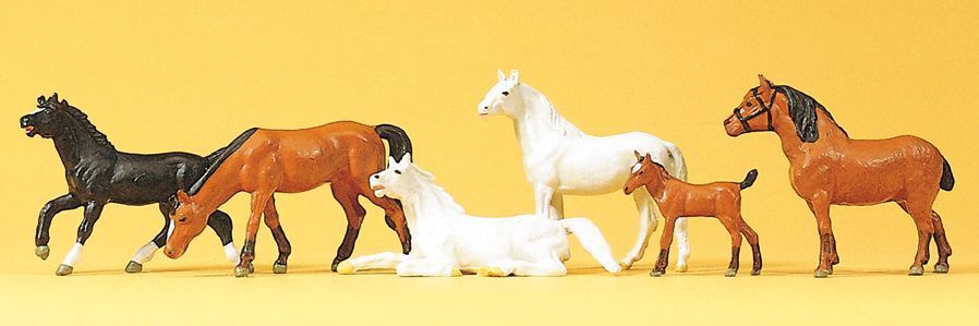 Animal-10150 : HO