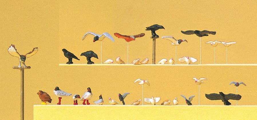 Assorted Birds (Pigeons, Seagulls, Crows & Birds Of Prey) - 10169 : HO