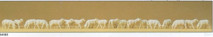 Animal-14161 : HO