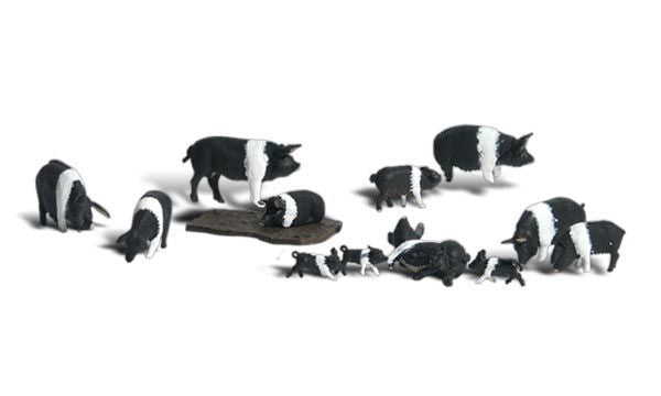 Hampshire Pigs - Scenic Accents pkg (12) - A1864 : HO