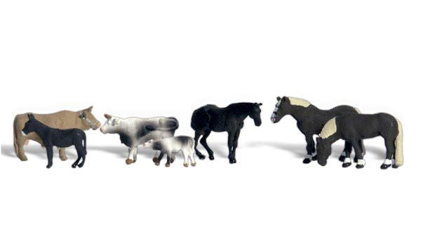 Animal-A2142 : N