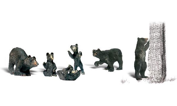 Animal-A2186 : N