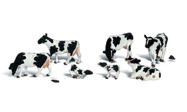 Holstein Cows - A2187 : N