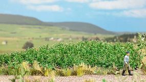 Potato Plants Kit - 1266 : HO
