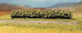 Plants-181350