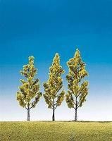 Deciduous-181420