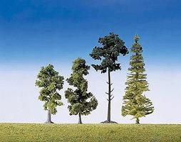 Tree Assortment-181495