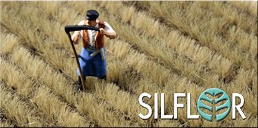 Autumn Alfalfa/Winter Wheat Crop Silflorettes - MN76524S