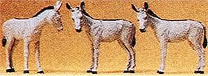 Animal-10151 : HO