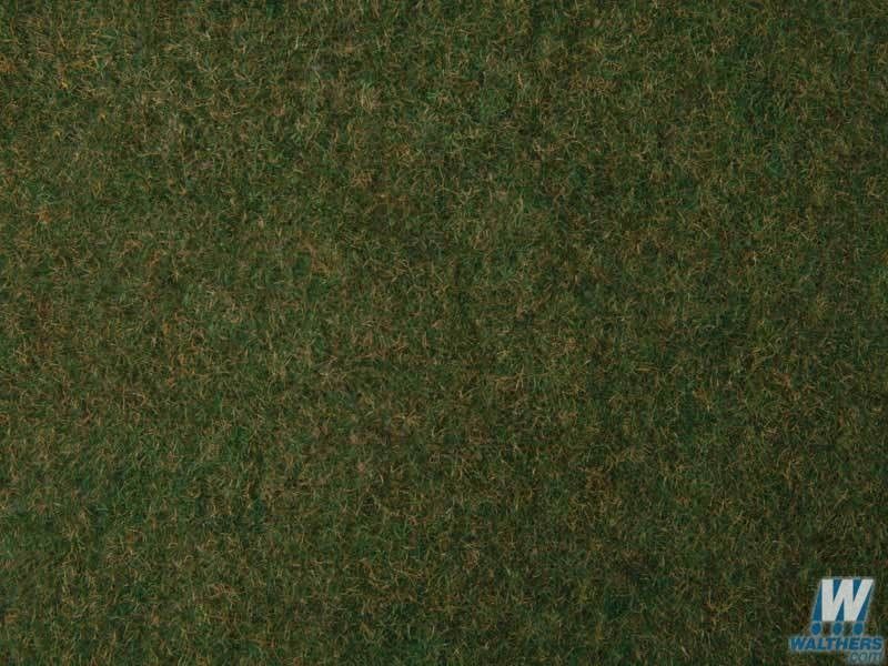 Plants-1223