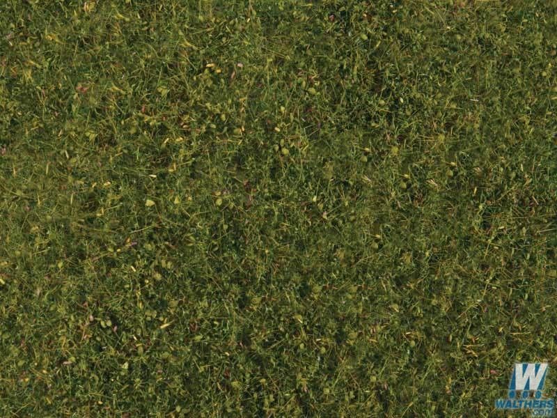 Plants-1224
