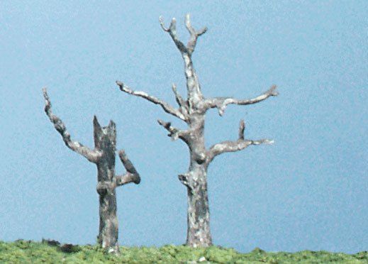 Deciduous-TK22