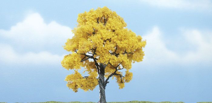 Deciduous-TR1613