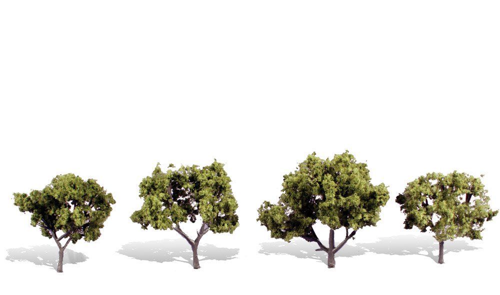 Deciduous-TR3503