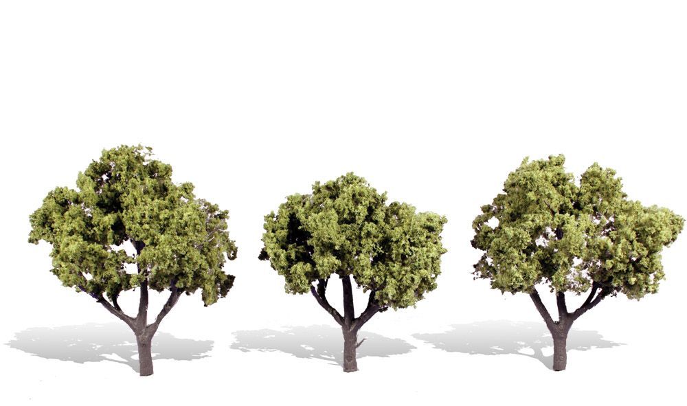 Deciduous-TR3506