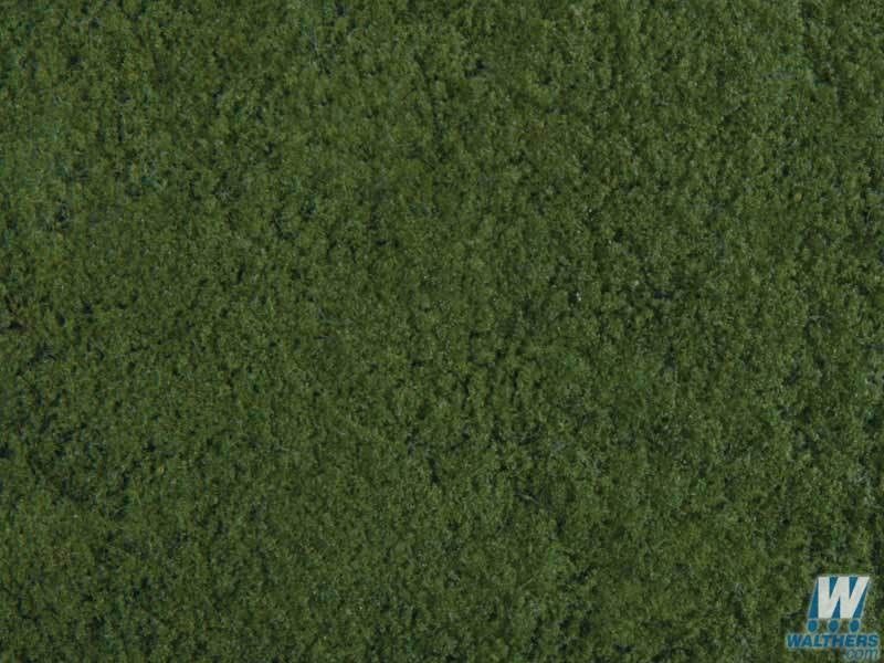Plants-1221
