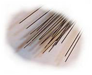 Straightened Stainless Steel Wire .012 X 9 Inch - N211210