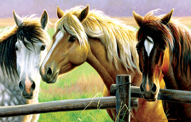Horse Fence 1000 piece Puzzle - 70922
