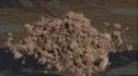 Pigments Natural Umber - 73109
