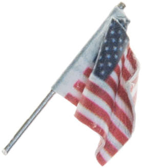 Small US Flag Wall Mount w/spot light - JP5953 : HO