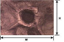 Moon &amp; War Crater Sheet - All Scales - 91695 : HO