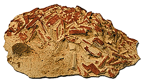 Firewood Piles - 007 : HO