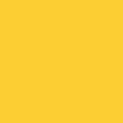 Erie Lackawanna El Yellow 1oz - TCP144