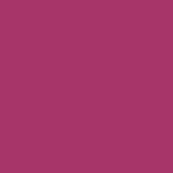 Massachusetts Bay Transit Authority MBTA Purple - TCP170