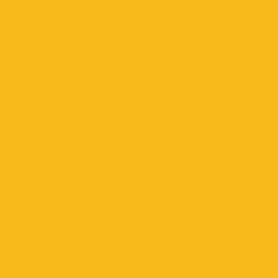 Kansas City Southern, KCS Southern Belle Yellow 1oz. - TCP300