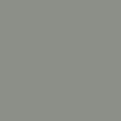 Weathered Gray Wood 1 oz. - TCP348