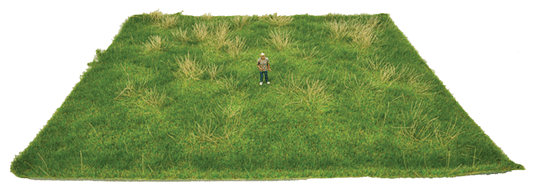 Tear And Plant Grass Mats -- Spring Meadow - 1126