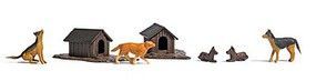 Animal-1197 : HO