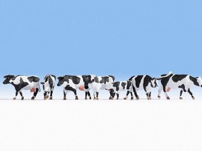Animal-15725 : HO