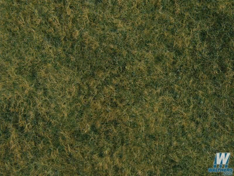 Plants-1222