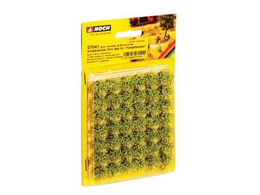 Ground Cover-7041