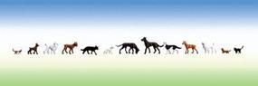 Animal-154012 : HO