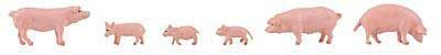 Animal-151910 : HO