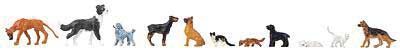 Animal-151902 : HO