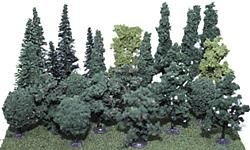 Deciduous-304
