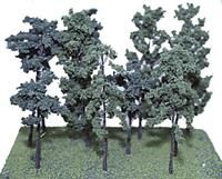 Evergreen-308